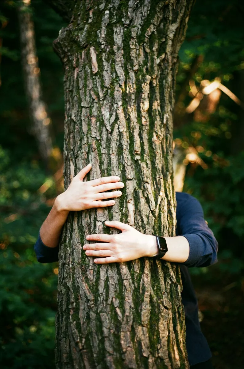 Prendre du recul pour mieux avancer : l’importance de se reconnecter à la nature